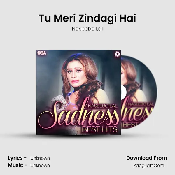 Tu Meri Zindagi Hai MP3 Song by Naseebo Lal Cover