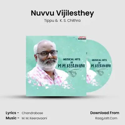 Nuvvu Vijilesthey Cover
