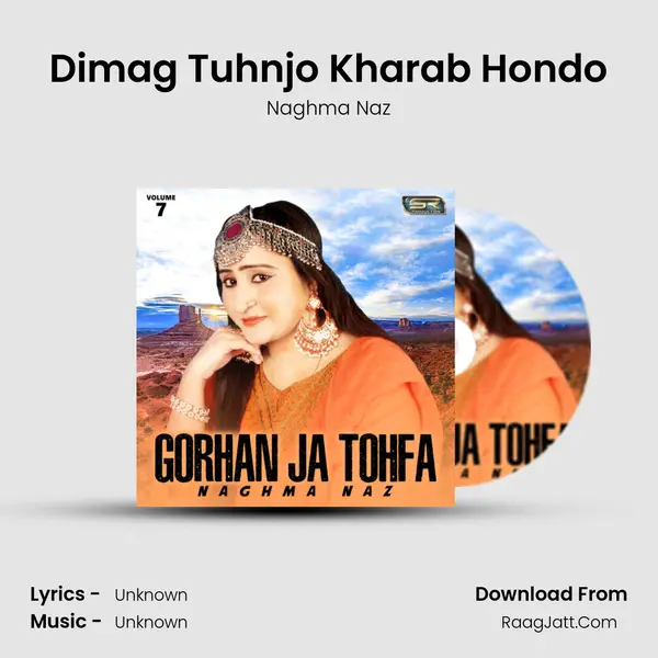 Dimag Tuhnjo Kharab Hondo MP3 Song by Naghma Naz Cover