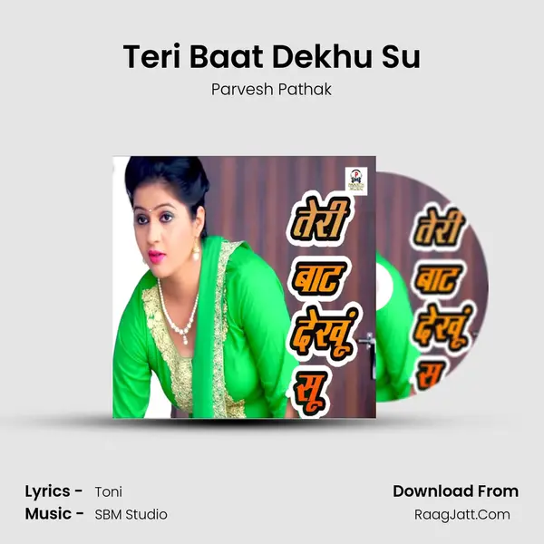 Teri Baat Dekhu Su - Parvesh Pathak