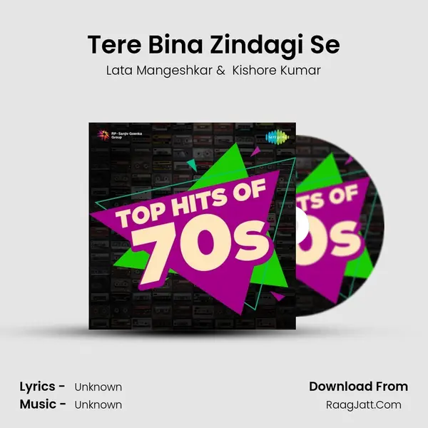 Tere Bina Zindagi Se Cover