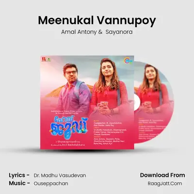 Meenukal Vannupoy MP3 Song by Amal Antony Cover