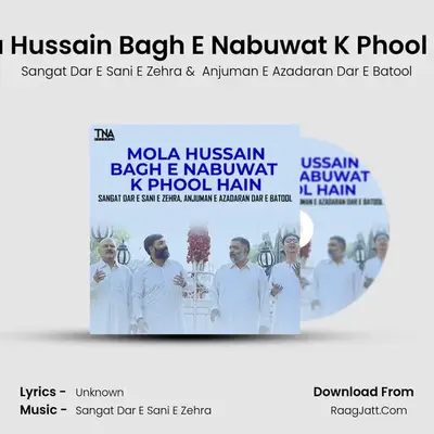 Mola Hussain Bagh E Nabuwat K Phool Hain - Single - Sangat Dar E Sani E Zehra