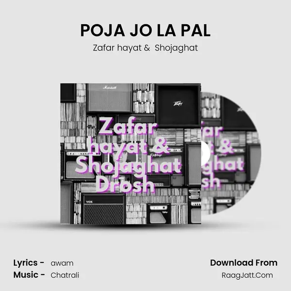 POJA JO LA PAL MP3 Song by Zafar hayat Cover