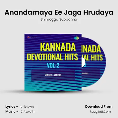 Anandamaya Ee Jaga Hrudaya mp3 song