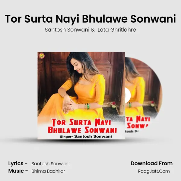 Tor Surta Nayi Bhulawe Sonwani mp3 song