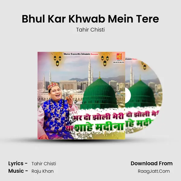 Bhul Kar Khwab Mein Tere MP3 Song by Tahir Chisti Cover