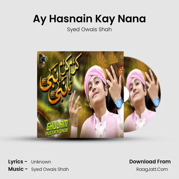 Ay Hasnain Kay Nana MP3 Song by Syed Owais Shah Cover