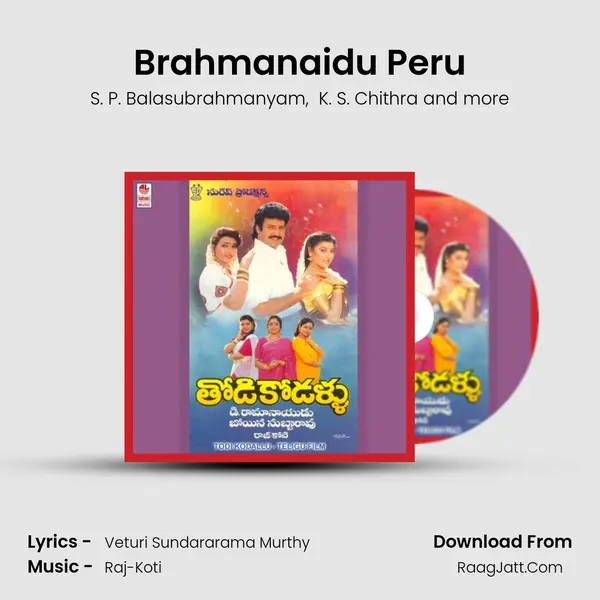 Brahmanaidu Peru MP3 Song by S. P. Balasubrahmanyam Cover