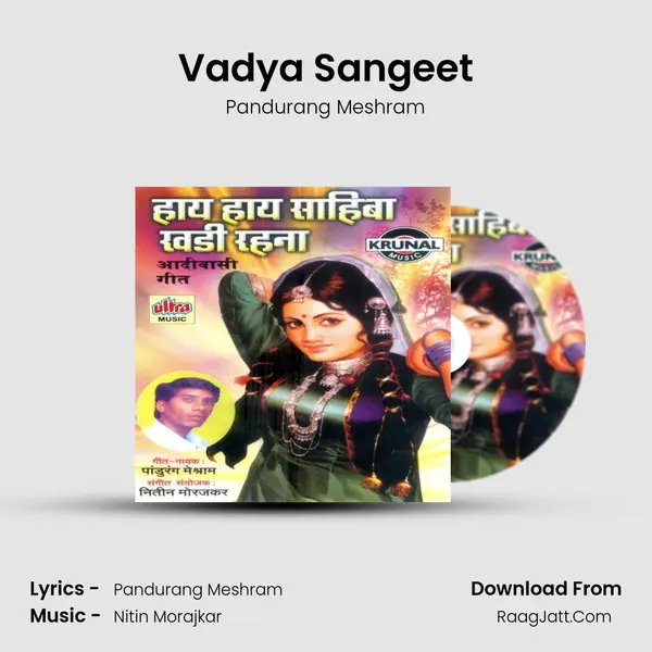 Vadya Sangeet MP3 Song by Pandurang Meshram Cover