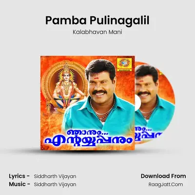 Pamba Pulinagalil MP3 Song by Kalabhavan Mani Cover