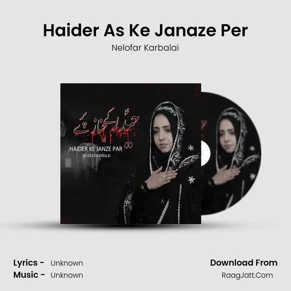 Haider As Ke Janaze Per mp3 song