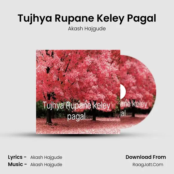 Tujhya Rupane Keley Pagal MP3 Song by Akash Hajgude Cover