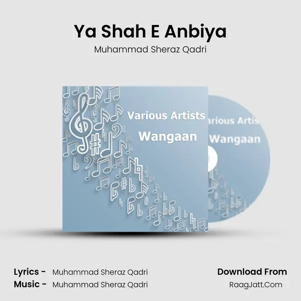 Ya Shah E Anbiya MP3 Song by Muhammad Sheraz Qadri Cover