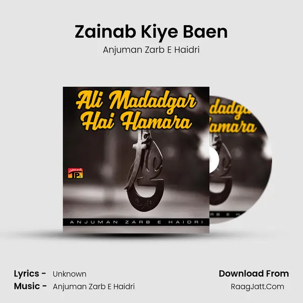 Zainab Kiye Baen MP3 Song by Anjuman Zarb E Haidri Cover