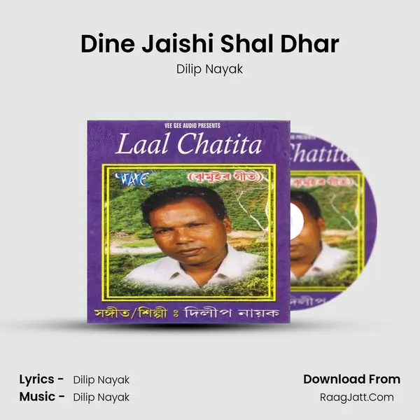 Dine Jaishi Shal Dhar MP3 Song by Dilip Nayak Cover