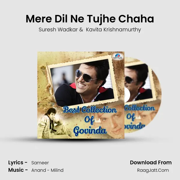 Mere Dil Ne Tujhe Chaha Cover