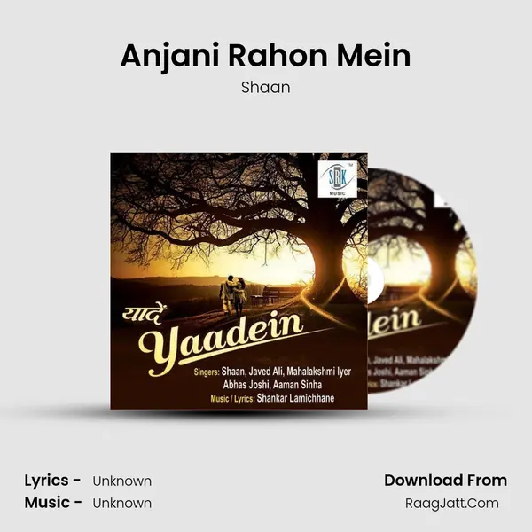 Anjani Rahon Mein Cover