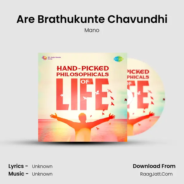 Are Brathukunte Chavundhi Cover