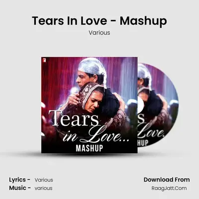 Tears In Love - Mashup - Various