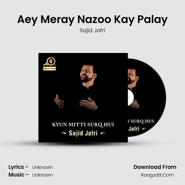 Aey Meray Nazoo Kay Palay MP3 Song by Sajid Jafri Cover