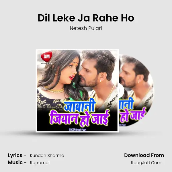 Dil Leke Ja Rahe Ho MP3 Song by Netesh Pujari Cover