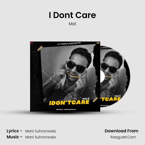I Don't Care MP3 Song by Mal Cover