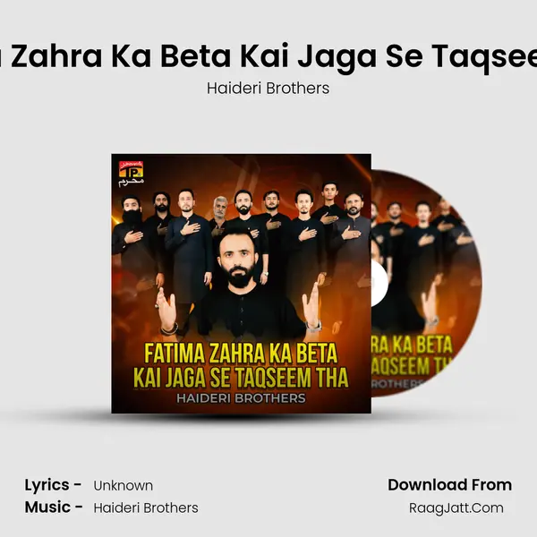 Fatima Zahra Ka Beta Kai Jaga Se Taqseem Tha - Single - Haideri Brothers