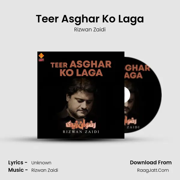 Teer Asghar Ko Laga MP3 Song by Rizwan Zaidi Cover