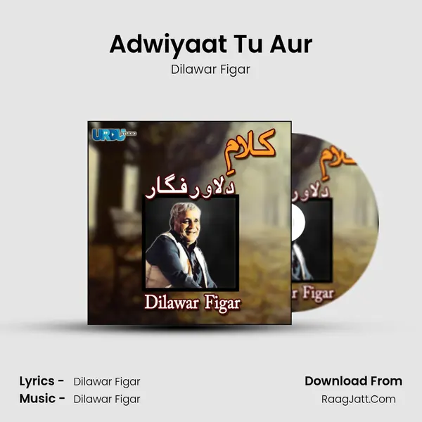 Adwiyaat Tu Aur MP3 Song by Dilawar Figar Cover