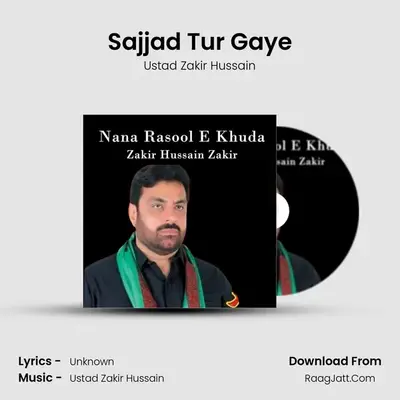 Sajjad Tur Gaye MP3 Song by Ustad Zakir Hussain Cover