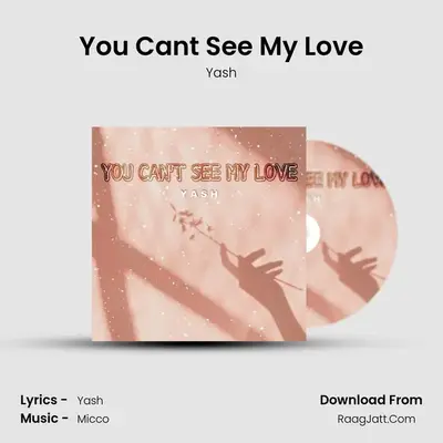 You Can&#x27;t See My Love mp3 song