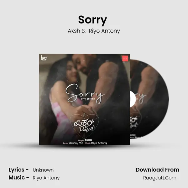 Sorry (From Picture Perfect) mp3 song