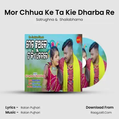Mor Chhua Ke Ta Kie Dharba Re - Satrughna
