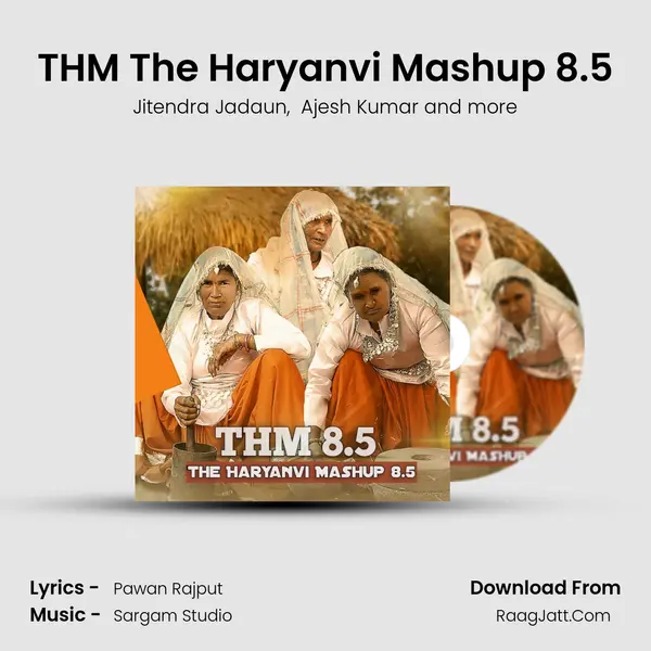 THM The Haryanvi Mashup 8.5 mp3 song