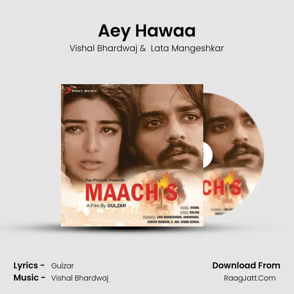 Aey Hawaa MP3 Song by Vishal Bhardwaj Cover