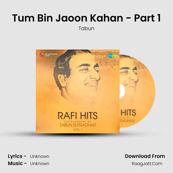 Tum Bin Jaoon Kahan - Part 1 MP3 Song by Tabun Cover