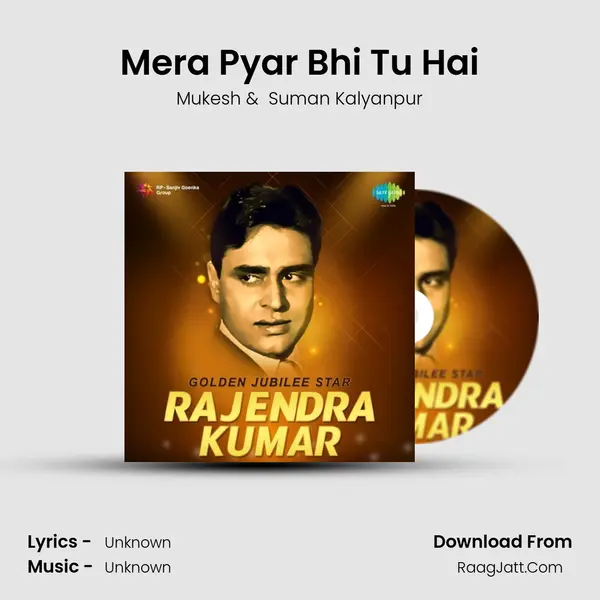 Mera Pyar Bhi Tu Hai Cover