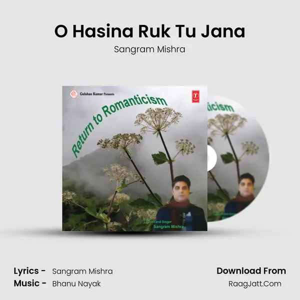 O Hasina Ruk Tu Jana mp3 song