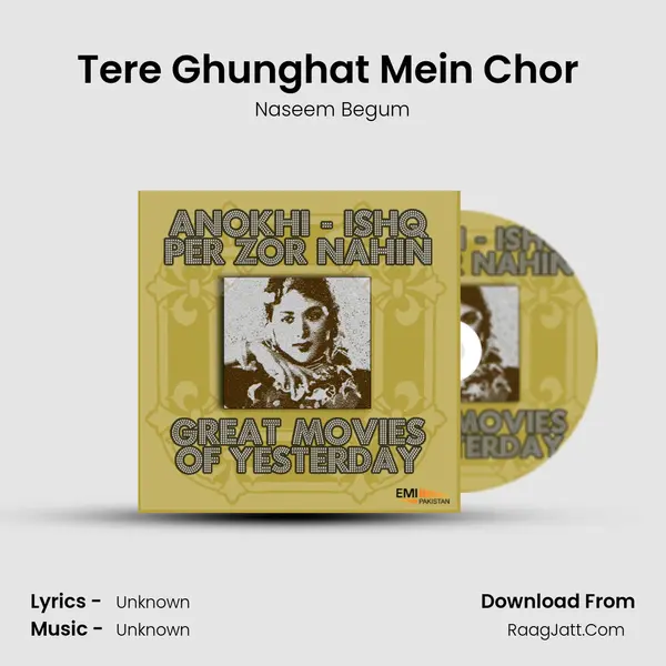 Tere Ghunghat Mein Chor (From 