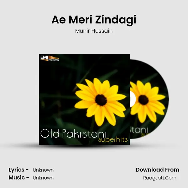 Ae Meri Zindagi MP3 Song by Munir Hussain Cover