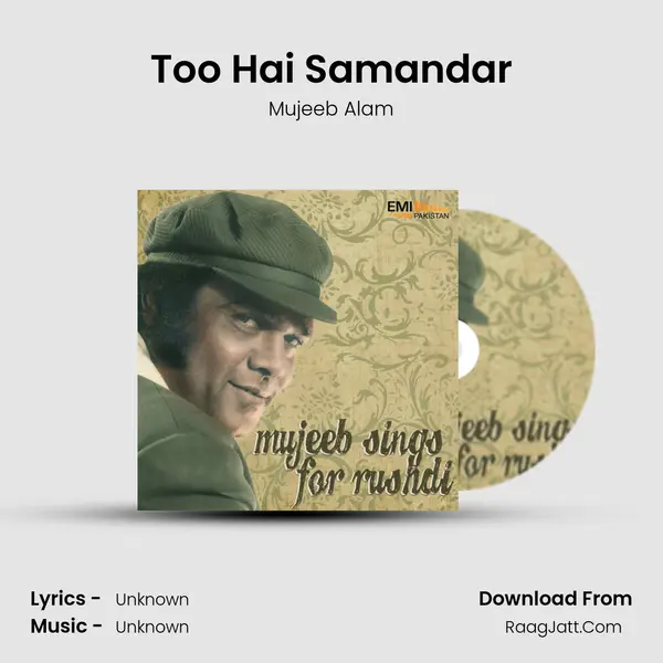 Too Hai Samandar MP3 Song by Mujeeb Alam Cover