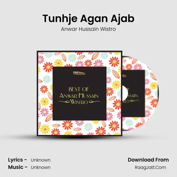 Tunhje Agan Ajab MP3 Song by Anwar Hussain Wistro Cover