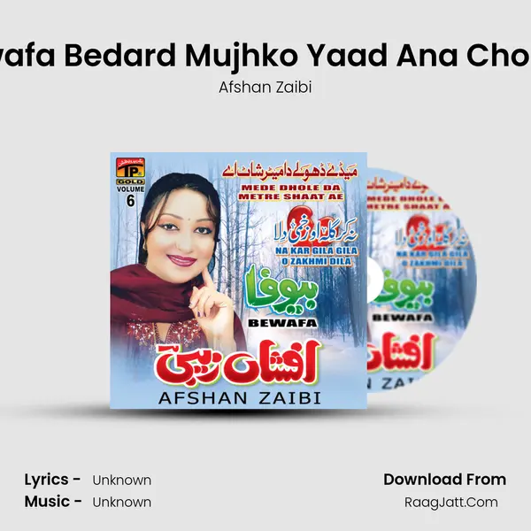 Bewafa Bedard Mujhko Yaad Ana Chor De MP3 Song by Afshan Zaibi Cover