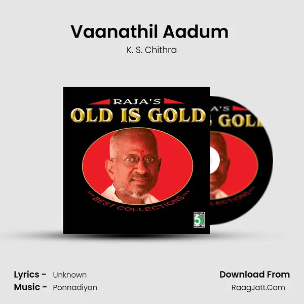 Vaanathil Aadum (From "Manam Virumbuthe Unnai") Cover