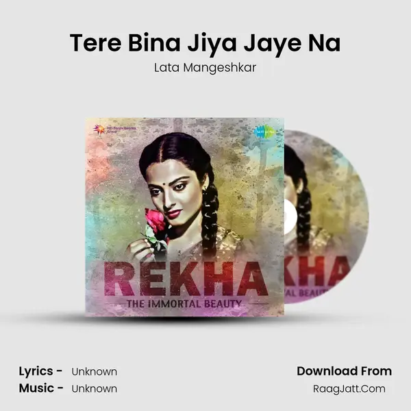 Tere Bina Jiya Jaye Na Cover