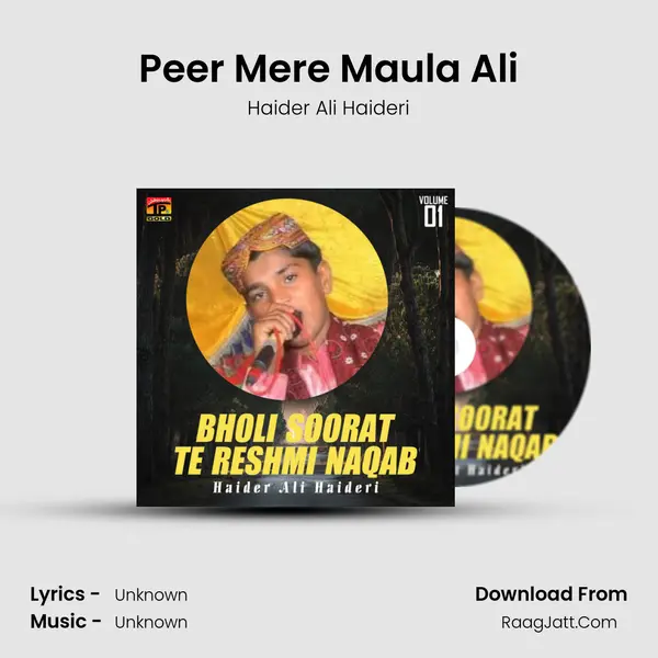 Peer Mere Maula Ali mp3 song
