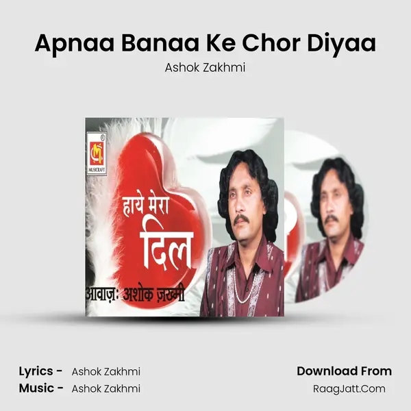 Apnaa Banaa Ke Chor Diyaa mp3 song