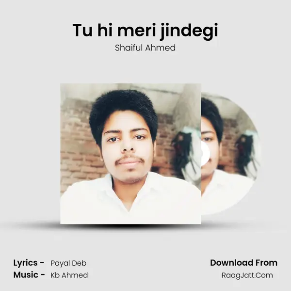 Tu hi meri jindegi mp3 song