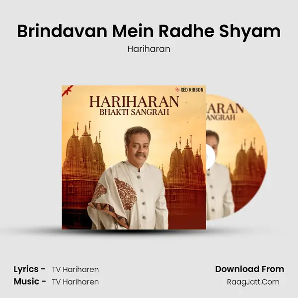 Brindavan Mein Radhe Shyam Cover